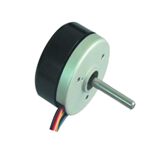 Brushless DC Motor