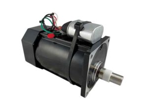 Induction motor with external capacitor