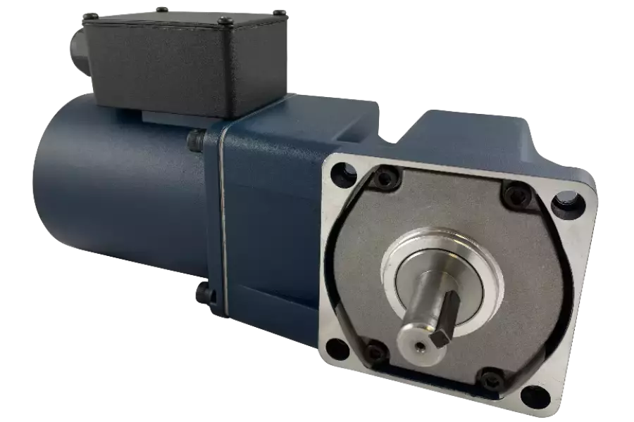 Bevel Gear Motors